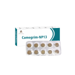 Paarmi Cares Camegrim-NP13 (For Migrain)