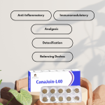 Paarmi Cares CanaJoin-L40 (For Rheumatic Pain)