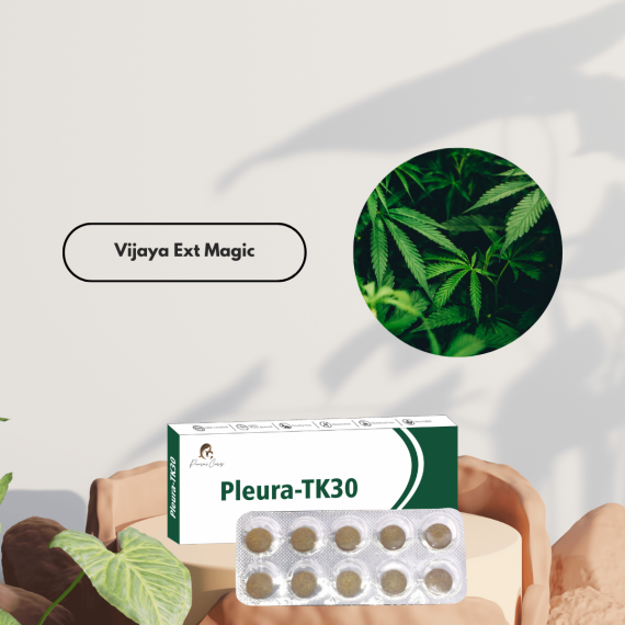 Paarmi Cares Pleura-TK30 (For Kapha)
