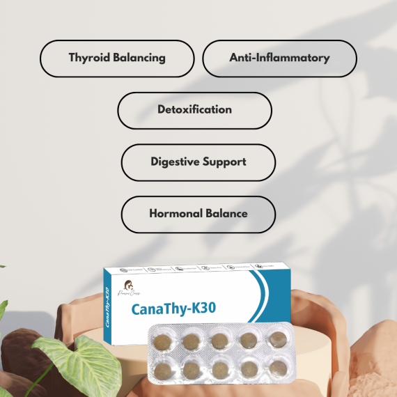 Paarmi Cares CanaThy-K30 (For Thyroid) - Image 4