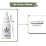 Nuvedic Cordyceps Militaris Drops – Energy, Immunity & Respiratory Support | Ayurvedic Herbal Extract