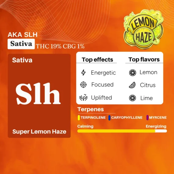 Cannazo India Uplift Plus Drops Extract Pen with Terpenes