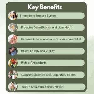 Nuvedic Immunity Booster Capsules – Ayurvedic Immune Support | Detox & Wellness Formula