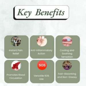 Nuvedic Pain Master Cream