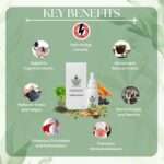 Nuvedic Vitality Drops – Energy & Endurance Booster | Adaptogenic Herbs & Ayurvedic Support