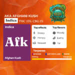 Cannazo India Uplift Plus Drops Extract Pen with Terpenes