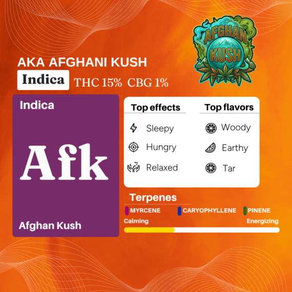 Cannazo India Uplift Plus Drops Extract Pen with Terpenes