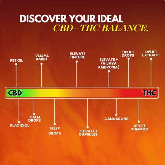 Cannazo India Uplift Plus Drops Extract Pen with Terpenes