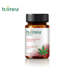 Hampa Mahakameshwar Modak Vati 500mg