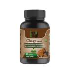 Chaga Mushroom