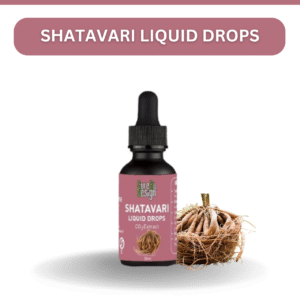 Shatavari Oil