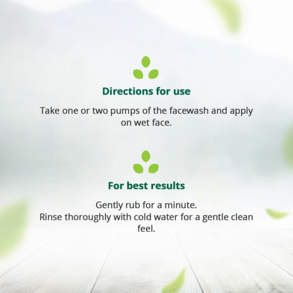 Hemp Foaming Face Wash