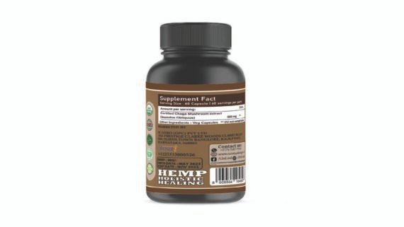 Chaga Mushroom
