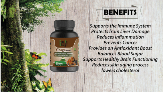Chaga Mushroom