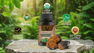 Chaga Mushroom