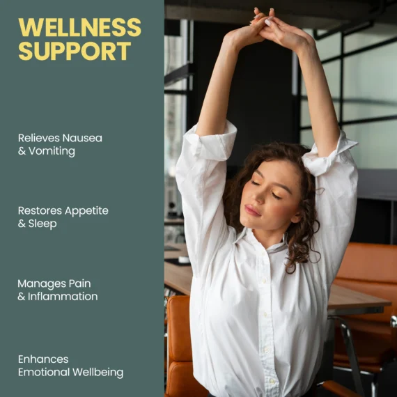 Hebe Shakti Full‑Spectrum RSO Paste for Chemotherapy Support