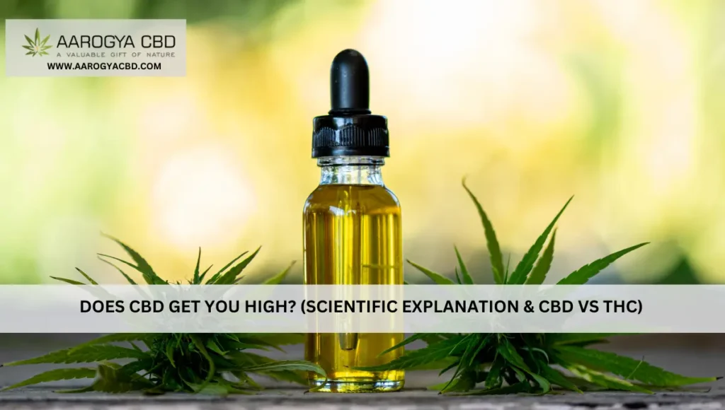 Does CBD Get You High? (Scientific Explanation & CBD Vs THC)