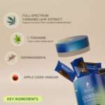 BOHECO UNWIND Gummies
