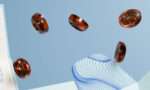 BOHECO UNWIND Gummies